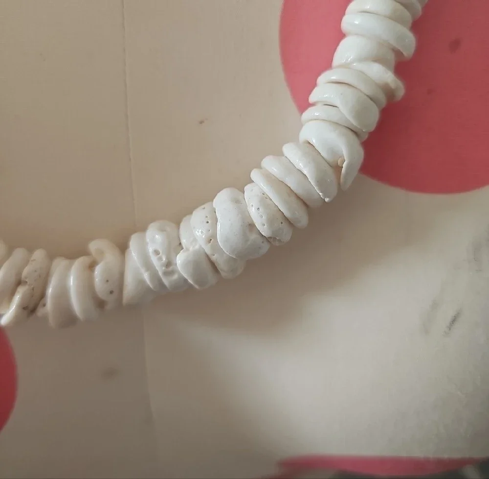 White Assorted Puka  Shell Bead Necklace - Men Women Jewelry